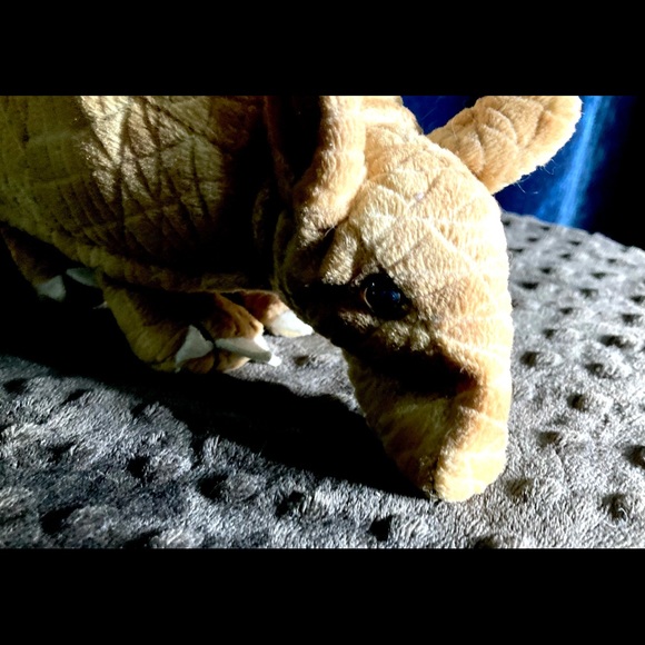 Pier 1 Armadillo Bean Plush | Stuffed Animal Toy - Picture 8 of 11